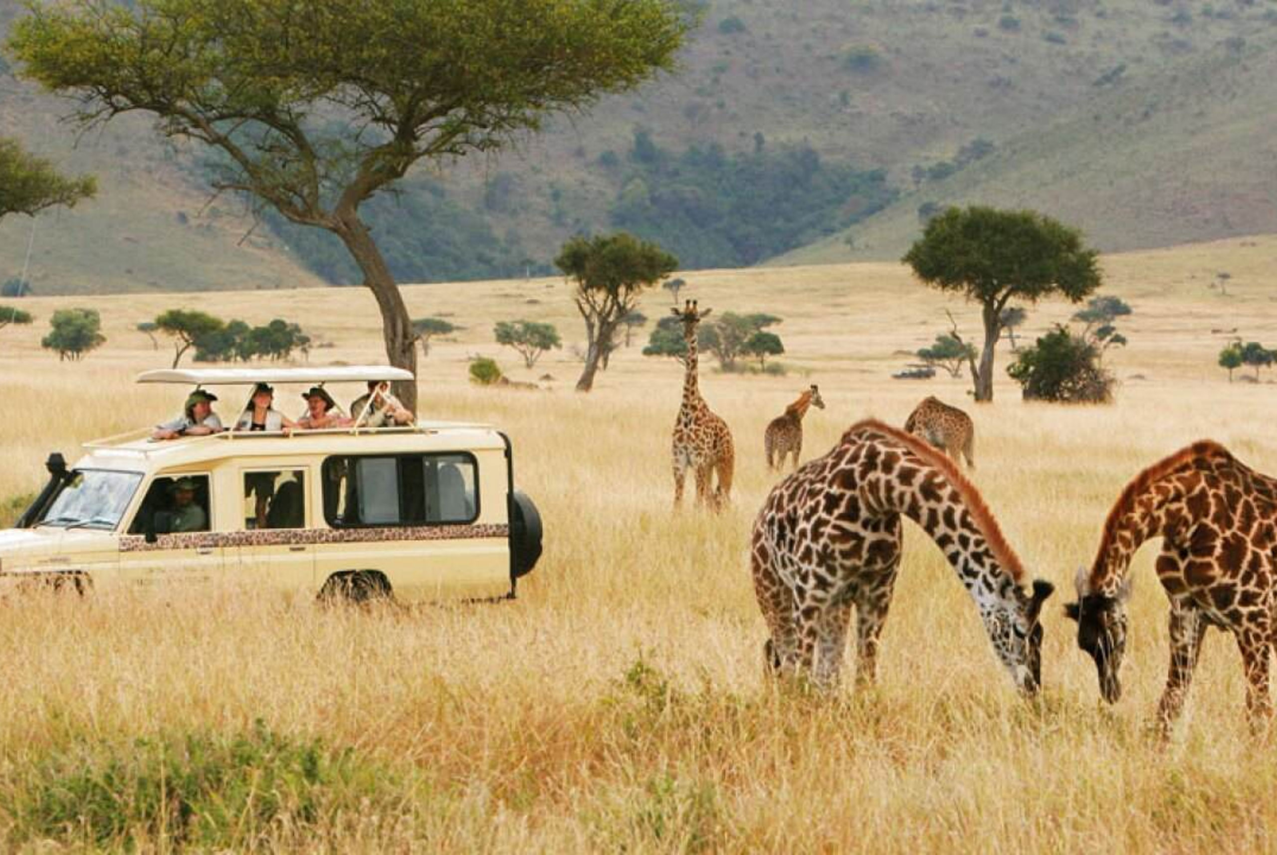 travello